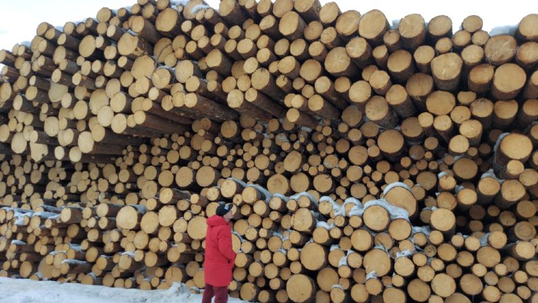 Бонусы при заказе строительства дома из профилированного бруса